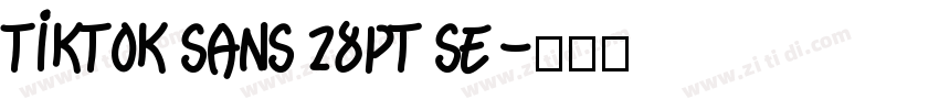 TikTok Sans 28pt Se字体转换